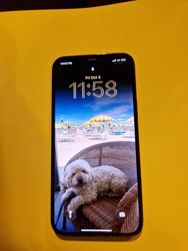Apple iphone pro - apple, max