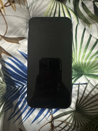 Apple iphone pro - 12, max