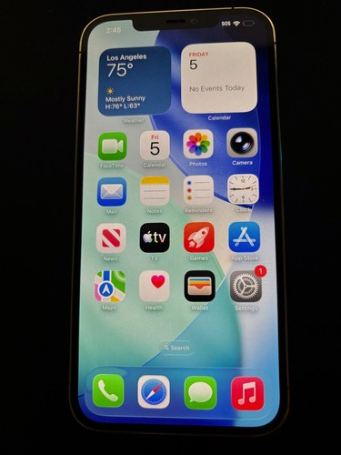 Apple iphone pro max - 12,