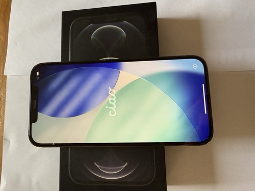 Apple iphone pro max - 12, 128gb