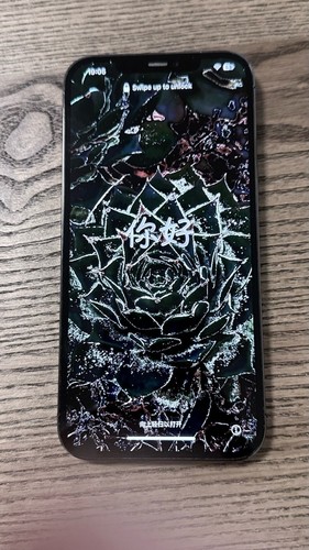 Apple iphone pro max - apple,